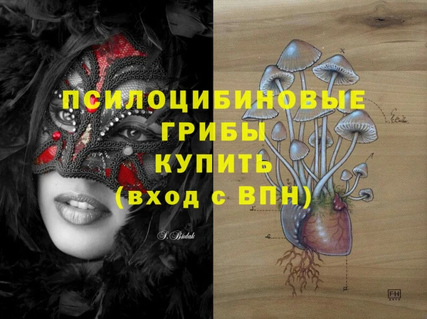 синтетический гашиш Гусь-Хрустальный