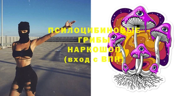 синтетический гашиш Гусь-Хрустальный