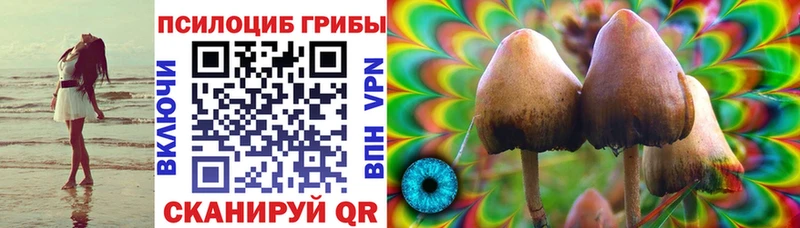где продают   Куртамыш  MEGA ONION  Галлюциногенные грибы Magic Shrooms 